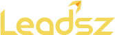 Leadsz Digital Marketing Agency